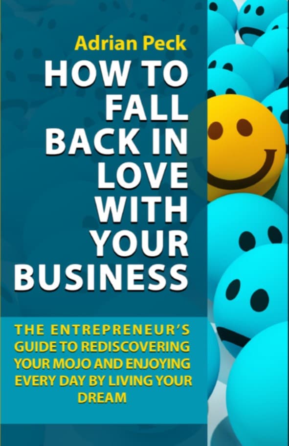 Front cover of How To Fall Back In Love With Your Business